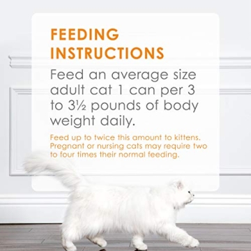 Fancy Feast Poultry and Beef Feast Classic Pate Collection Grain Free Wet Cat Food Variety Pack - (Pack of 30) 3 oz. Cans