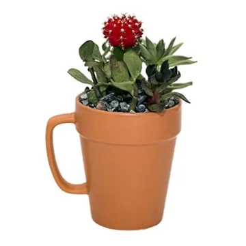 Culver Flower Pot Mugs - Unique Coffee & Planter Set