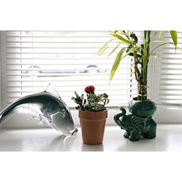 Culver Flower Pot Mugs - Unique Coffee & Planter Set