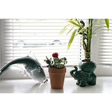 Culver Flower Pot Mugs - Unique Coffee & Planter Set