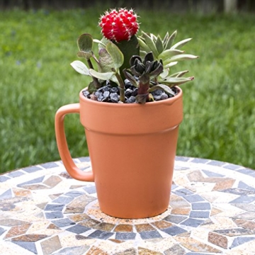 Culver Flower Pot Mugs - Unique Coffee & Planter Set