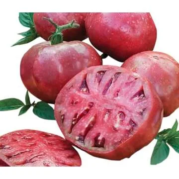 Cherokee Purple Heirloom Tomato Seeds - Large Tomato - One of The Most Delicious Tomatos for Home Growing