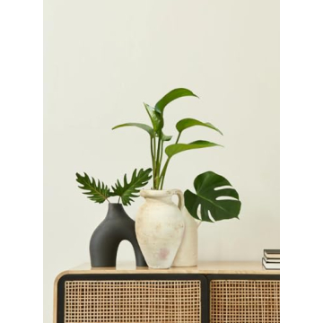 Antique White Terracotta Clay Jug Vase with Handle