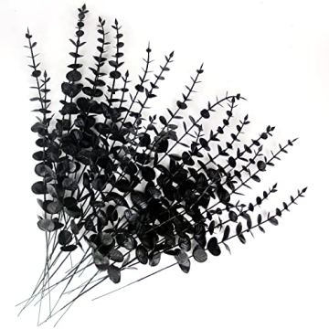 Tinsow Black Eucalyptus Stems for Home Decor and Weddings