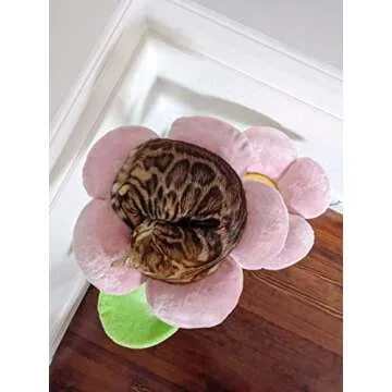 Cherry Blossom Floral Cat Tree for Stylish Cat Lovers