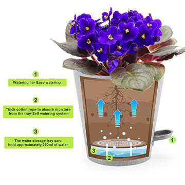 Ten-stone Plant Pots 5Pcs 6.5" Self Watering Planters African Violet Pots with Attached Tray Reservo...