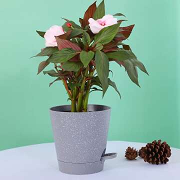 Ten-stone Self Watering Plant Pots Set for Indoor Use