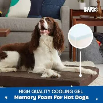 Barkbox Orthopedic Dog Bed with Memory Foam, Premium Comfort for Dogs and Puppies, Dog Bed for Joint Relief and Restful Sleep, Durable and Easy to Clean - Espresso, Large