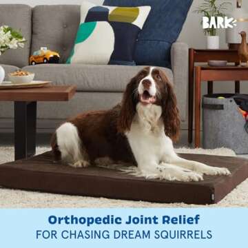 Barkbox Orthopedic Dog Bed with Memory Foam, Premium Comfort for Dogs and Puppies, Dog Bed for Joint Relief and Restful Sleep, Durable and Easy to Clean - Espresso, Large