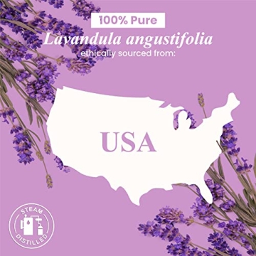 100% Pure Lavender Essential Oil for Diffuser & Aromatherapy