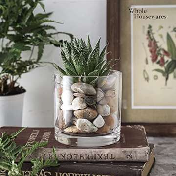 WHOLE HOUSEWARES | 4"X4" Glass Cylinder Vase | Candle Holder | Decorative Centerpiece Arrangement for Wedding Party Event Home Office Decor | Set of 6