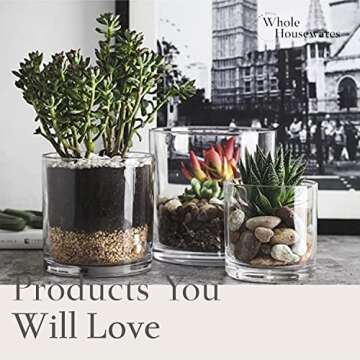 WHOLE HOUSEWARES | 4"X4" Glass Cylinder Vase | Candle Holder | Decorative Centerpiece Arrangement for Wedding Party Event Home Office Decor | Set of 6