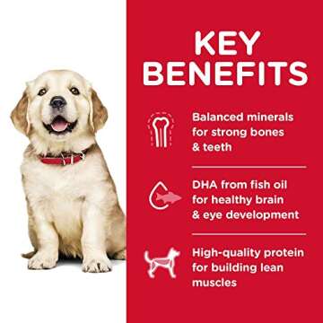 Hill's Science Diet Puppy Large Breed Chicken Meal 30 lb