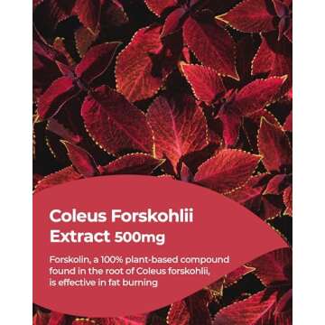 FOODOLOGY Coleology Drink Mix - Pomegranate Flavor for Health