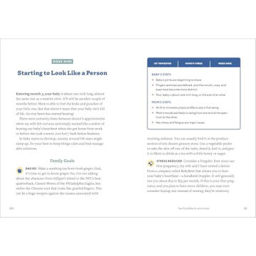 We're Pregnant! A Handbook for First Time Dads