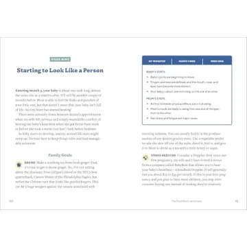 We're Pregnant! A Handbook for First Time Dads