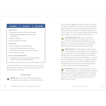 We're Pregnant! A Handbook for First Time Dads