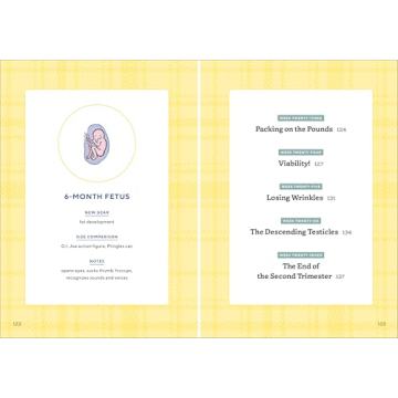 We're Pregnant! A Handbook for First Time Dads