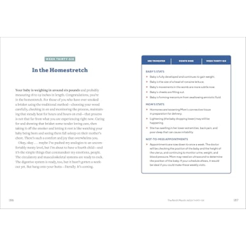 We're Pregnant! A Handbook for First Time Dads