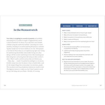 We're Pregnant! A Handbook for First Time Dads