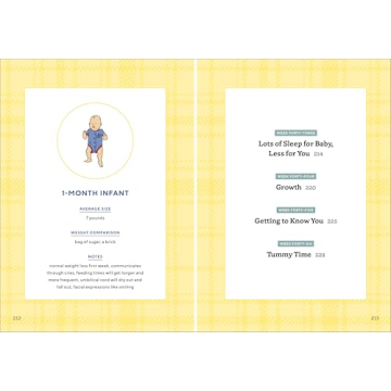 We're Pregnant! A Handbook for First Time Dads