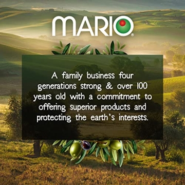 Mario Camacho Pitted Snack Olives 1.05oz Pouches - Healthy Snack