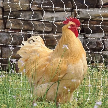 Premier 1 PoultryNet+ Starter Kit for Electric Fencing