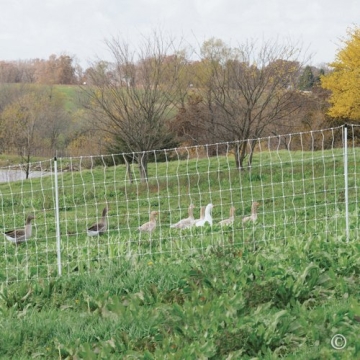 Premier 1 PoultryNet+ Starter Kit for Electric Fencing
