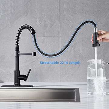 Stylish Black Kitchen Faucet with Pull Down Sprayer by GUUKAR
