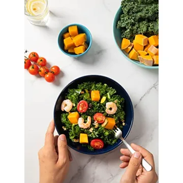 Sweese Colorful Pasta Bowls Set for Serving Dinner and Salad