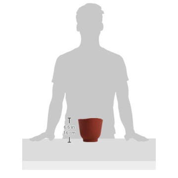 Versatile Norpro 3 Piece Silicone Bowl Set for Home Use