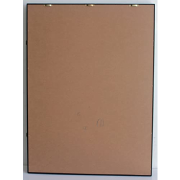 Pro UV Graded Sports Card Display Case with Lock
