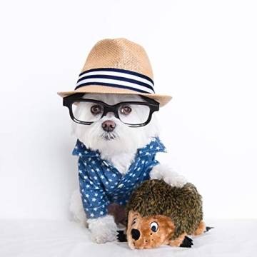 Outward Hound Hedgehogz Plush Dog Toy for Small Dogs