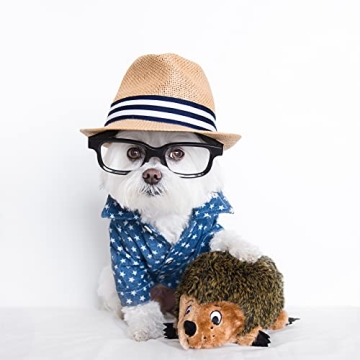 Outward Hound Hedgehogz Plush Dog Toy for Small Dogs