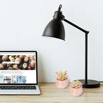 LITA Faux Succulents for Stylish Indoor Decor