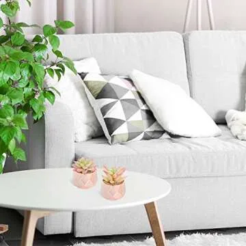 LITA Faux Succulents for Stylish Indoor Decor