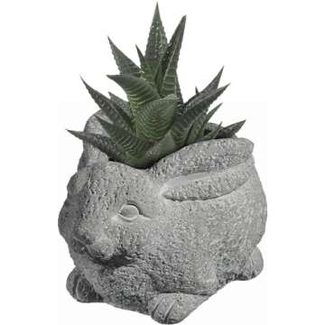 Classic Home and Garden Cement Buddies Indoor Outdoor Planter with Drainage Hole, Rabbit, Gray, Small, 6in