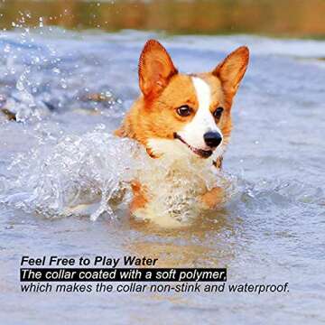 RICOVO LED Dog Collar Light - Waterproof Rechargeable Glow Collar