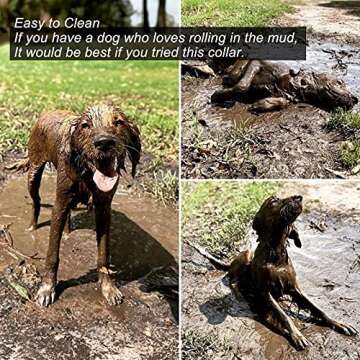 RICOVO LED Dog Collar Light - Waterproof Rechargeable Glow Collar