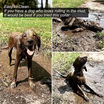 RICOVO LED Dog Collar Light - Waterproof Rechargeable Glow Collar