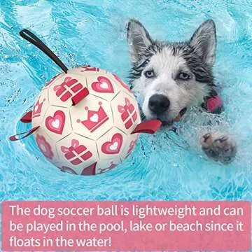 QDAN Pink Dog Soccer Ball for Interactive Fun and Play