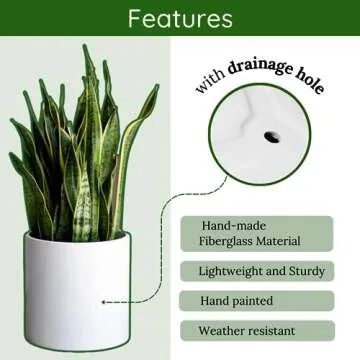 Elly Décor Lightweight Cylindrical Planter for All Plants