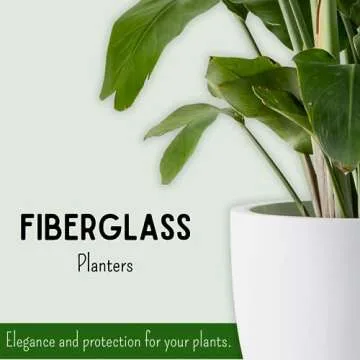 Elly Décor Lightweight Cylindrical Planter for All Plants