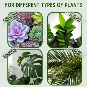 Elly Décor Lightweight Cylindrical Planter for All Plants