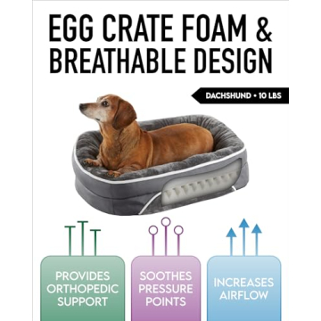 OhGeni Orthopedic Dog Bed for Small Dogs in Gray