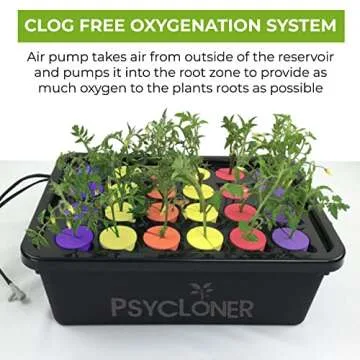 Psycloner Clone Machine for Efficient Plant Propagation