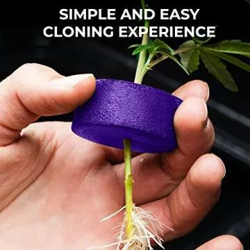 Psycloner Clone Machine for Efficient Plant Propagation