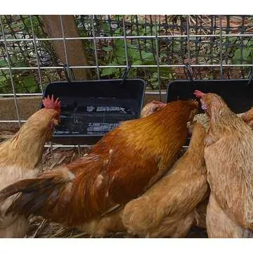 mozoba Hanging Chicken Feeder Trough for Goat Sheep Deer Poultry Duck Chicken Fence Feeder Livestock...