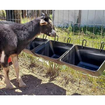 Buy mozoba Hanging Chicken Feeder Trough for Livestock