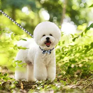 EXPAWLORER Dog Collar and Leash Set - Classic Plaid Dog Bow Tie and Dog Bandana Collar with Bell, Dog Leash Tangle Free, Adjustable Collars for Small Medium Large Dogs Cats, Holiday Ideal Gift